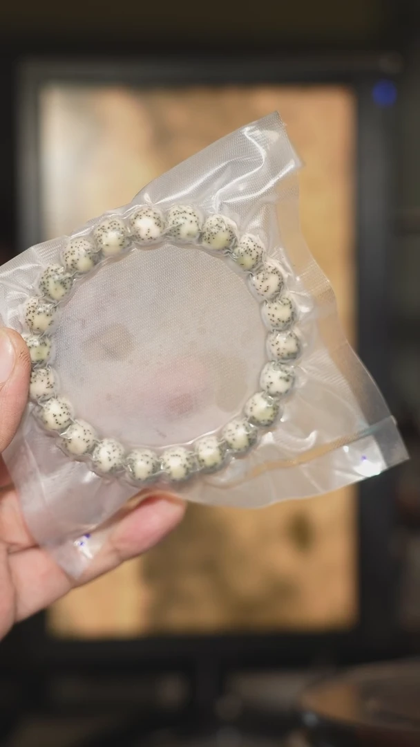 星月菩提手串海南星月菩提11mm单圈手串