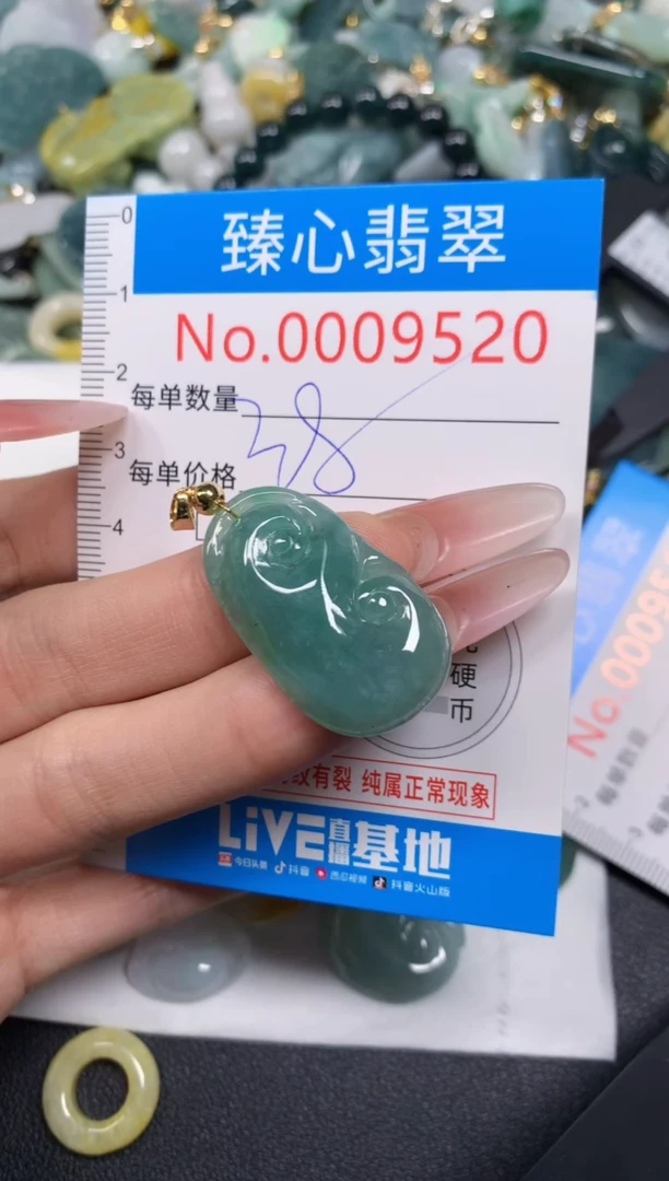 【闪购商品】翡翠颈饰未镶嵌含绳0009520