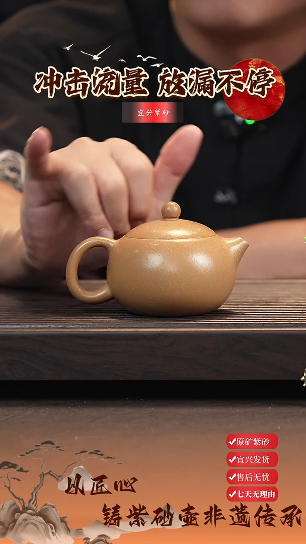 茶壶紫砂宜兴原矿紫砂壶 西施壶 段泥