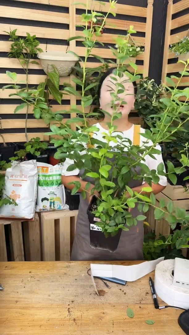 李****O一物一拍 F6 2.8L GSJ081