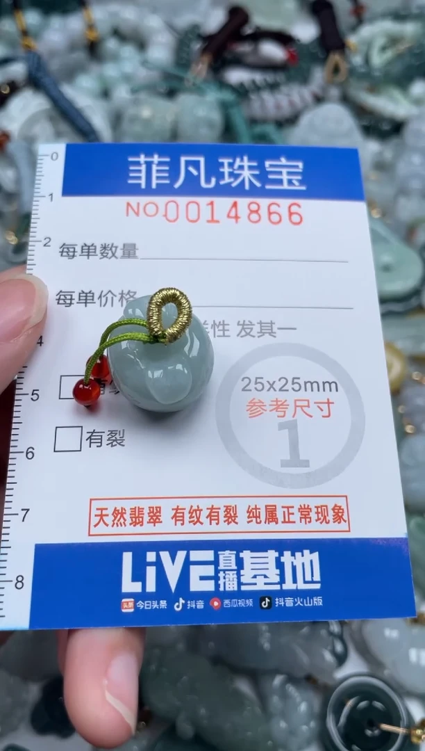 颈饰未镶嵌翡翠14866