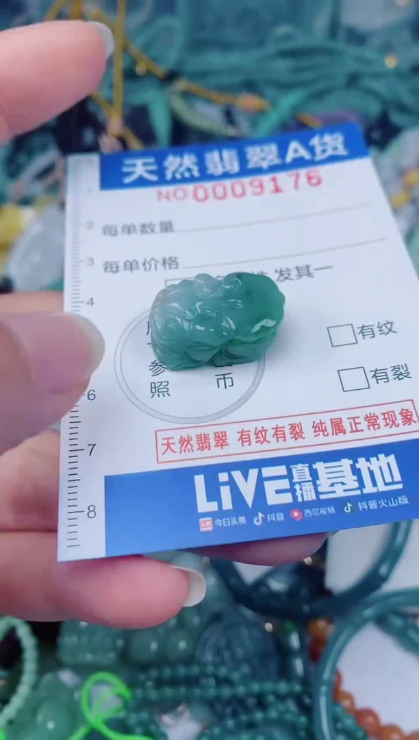 颈饰未镶嵌翡翠00009176