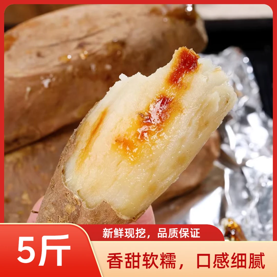 5斤 助农 哈密薯新鲜香甜肉质软糯白心蜜薯哈密冰糖薯