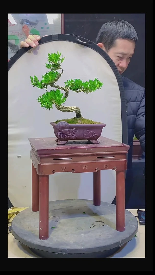 无花朵月**酌1111111111111111