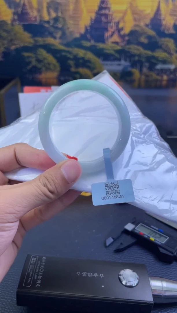 未镶嵌手镯翡翠9