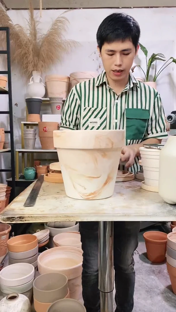 23*21玛奇朵 1盆无托