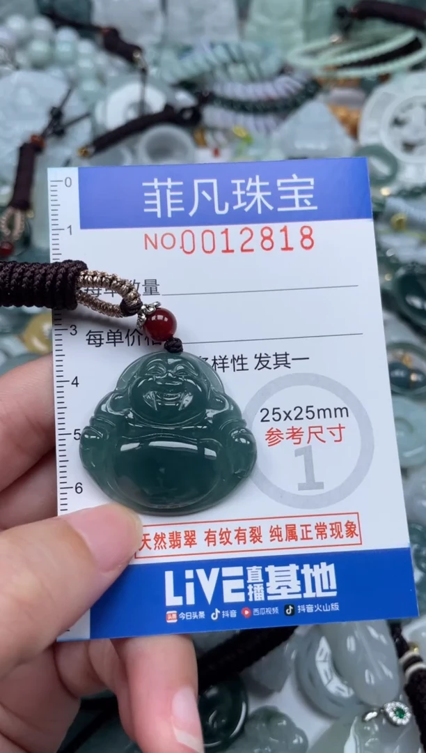 颈饰未镶嵌翡翠12818