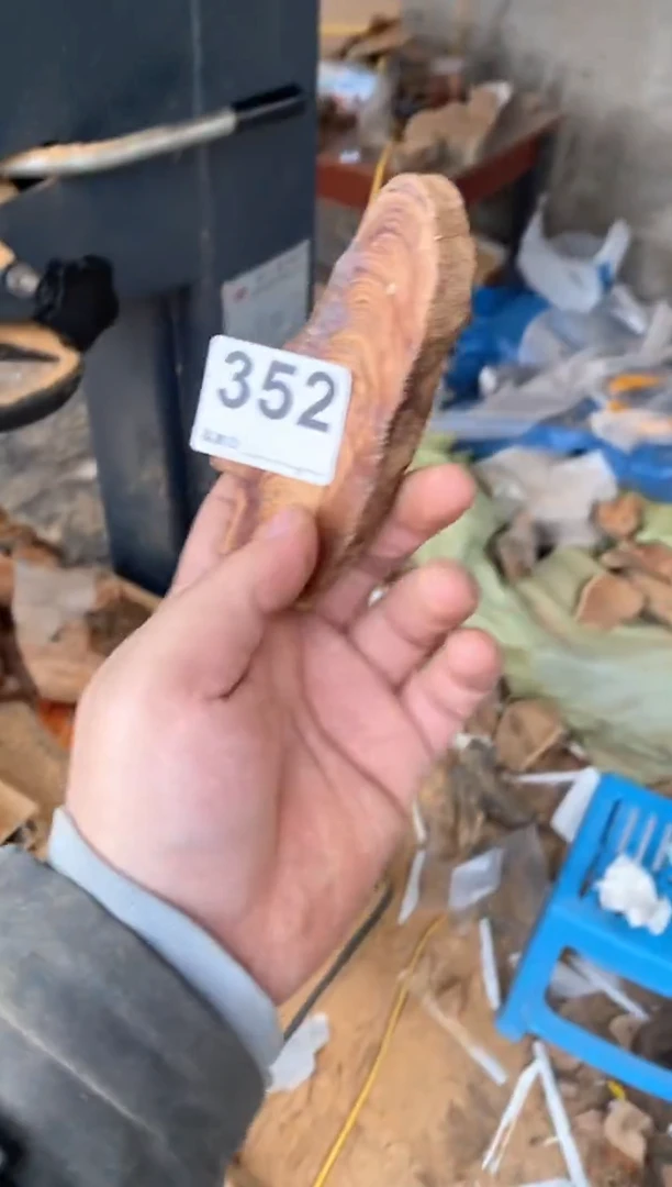 【闪购商品】柏木太行陈化崖柏（津诚林）切片