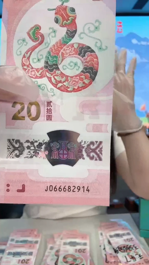 塑料蛇钞066682914