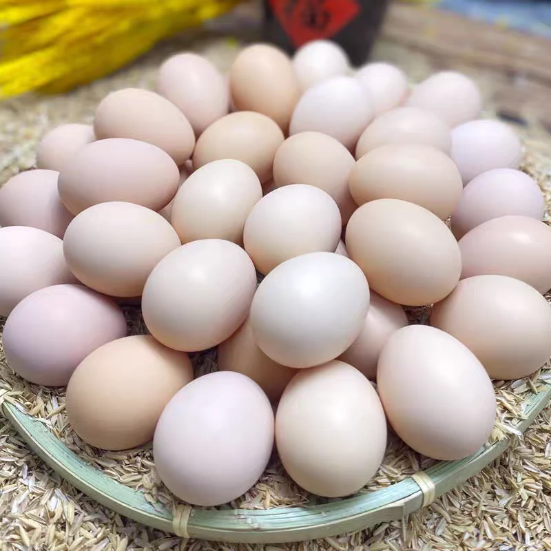 【馆陶鸡蛋】无抗初产蛋 ，安全，放心鸡蛋之乡新鲜鸡蛋，每日鲜蛋