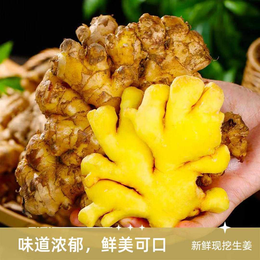 云南特色山地小黄姜