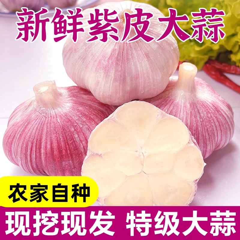 【河南杞县新鲜大蒜】精品人工挑选可腌糖蒜