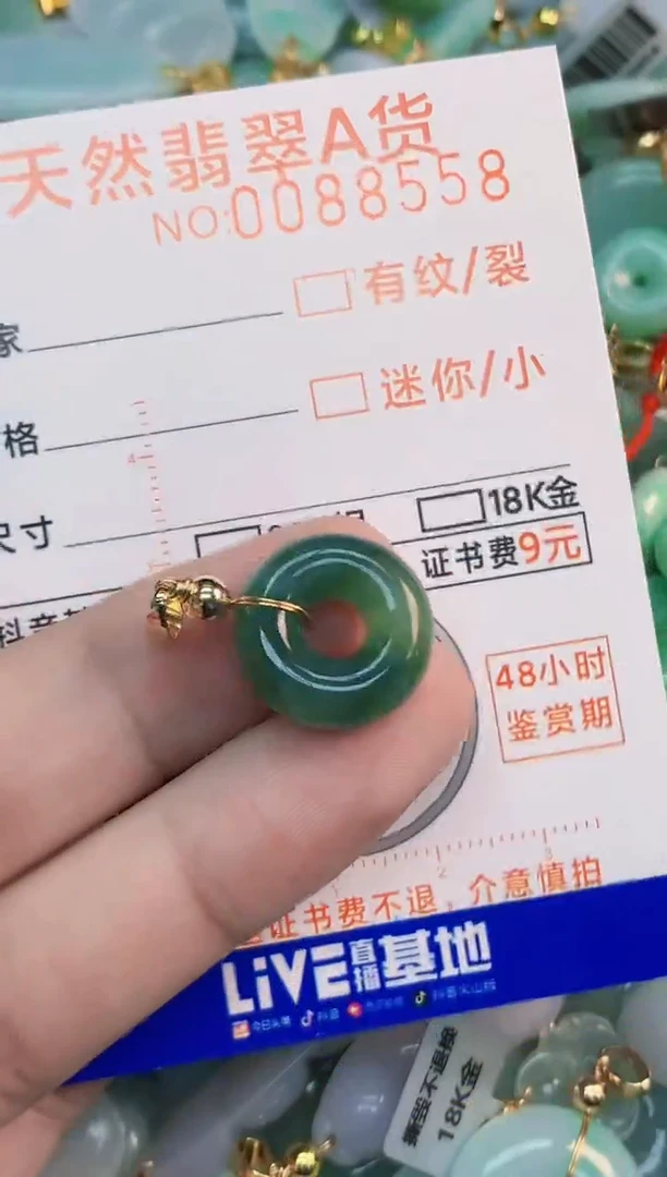 翡翠未镶嵌吊坠(不含链)1