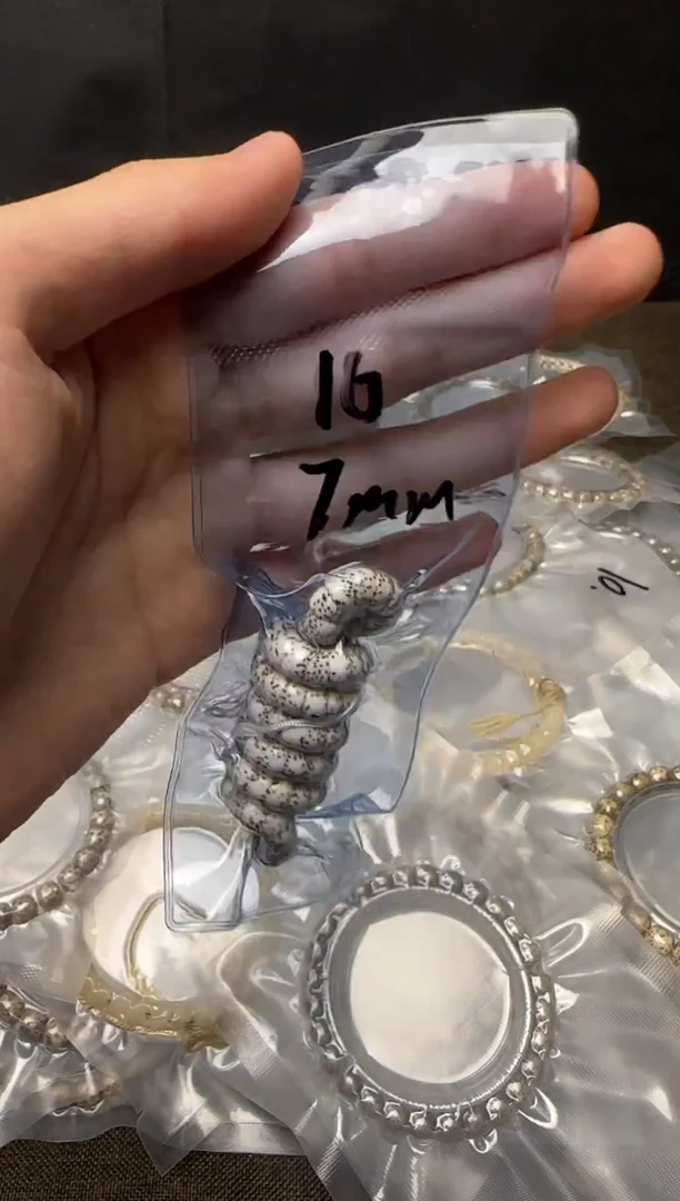 手串星月菩提16号