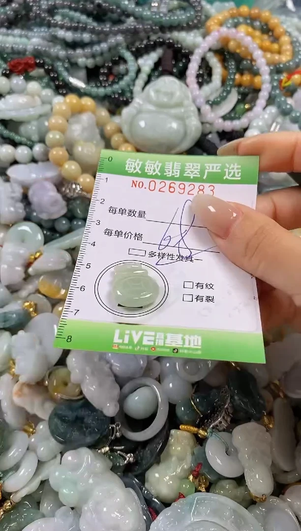 翡翠未镶嵌颈饰闪购0269283多样性发其一