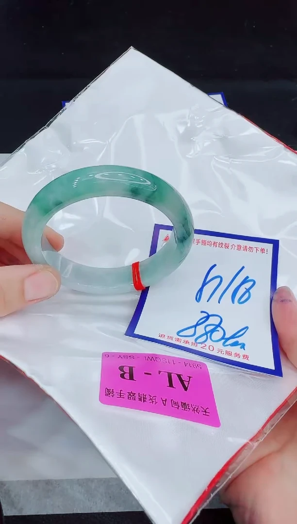 未镶嵌手镯翡翠11111111
