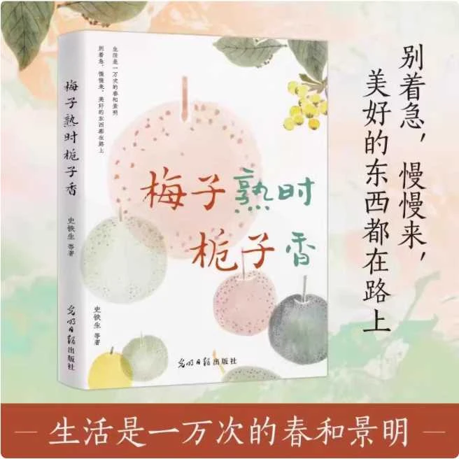 梅子熟时栀子香史铁生季羡林汪曾祺等文学大家全新散文集y