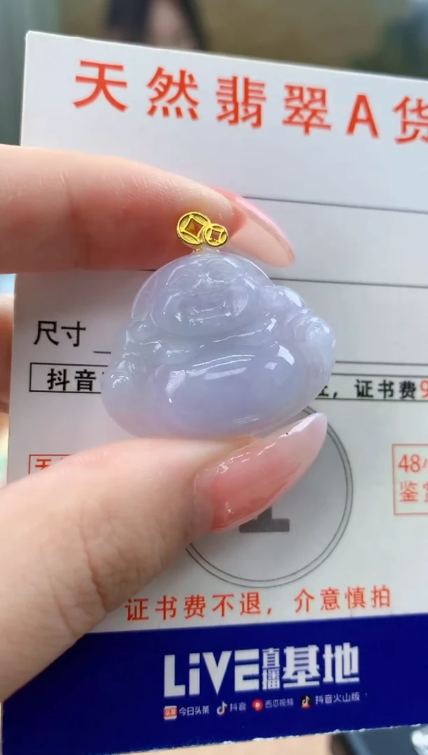 颈饰未镶嵌翡翠天然A货翡翠挂件