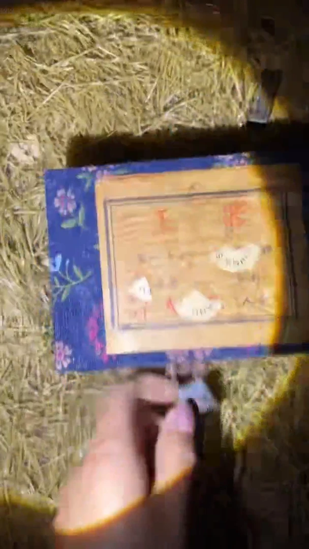 琪琪精品链接66666666