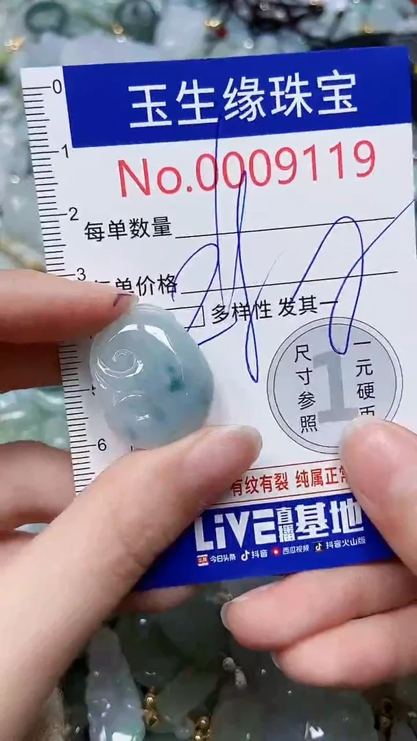 【闪购商品】翡翠颈饰未镶嵌闪购00009119