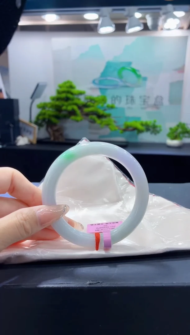 未镶嵌手镯翡翠12