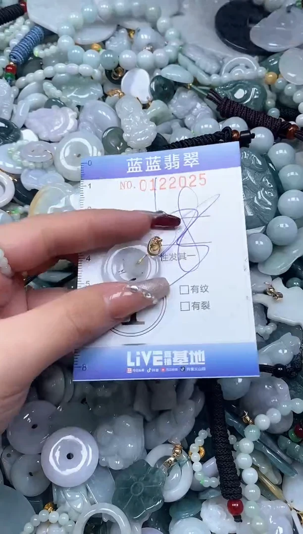 【闪购商品】翡翠颈饰未镶嵌闪购0122025多样性发其一