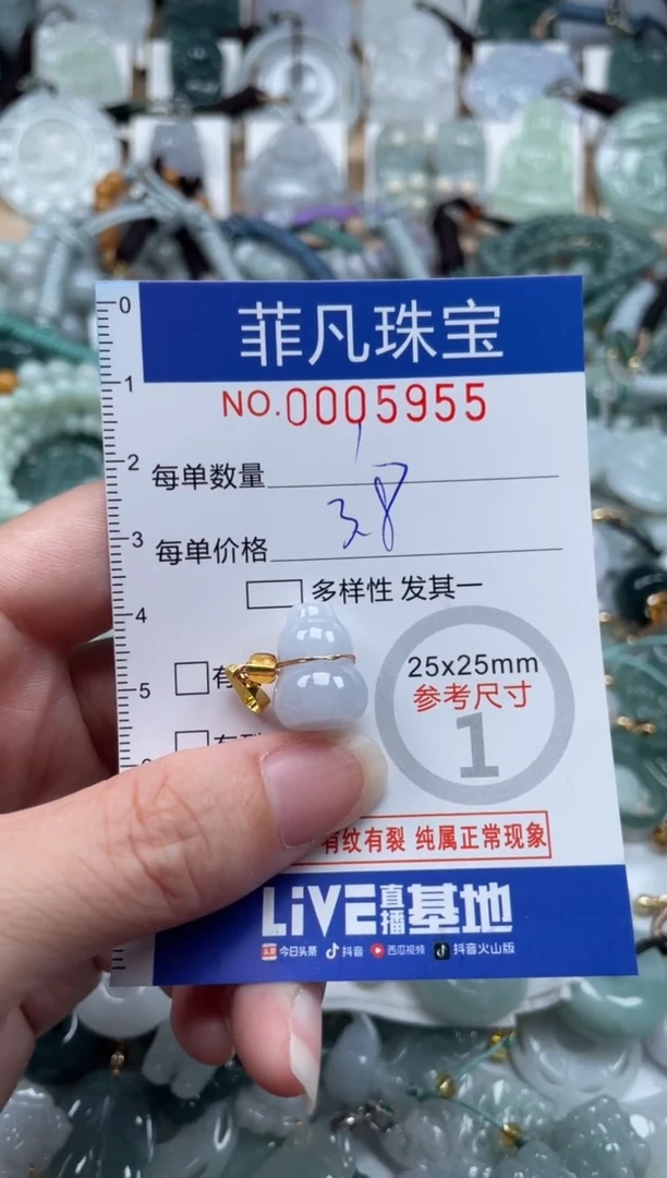 翡翠未镶嵌颈饰00..5955