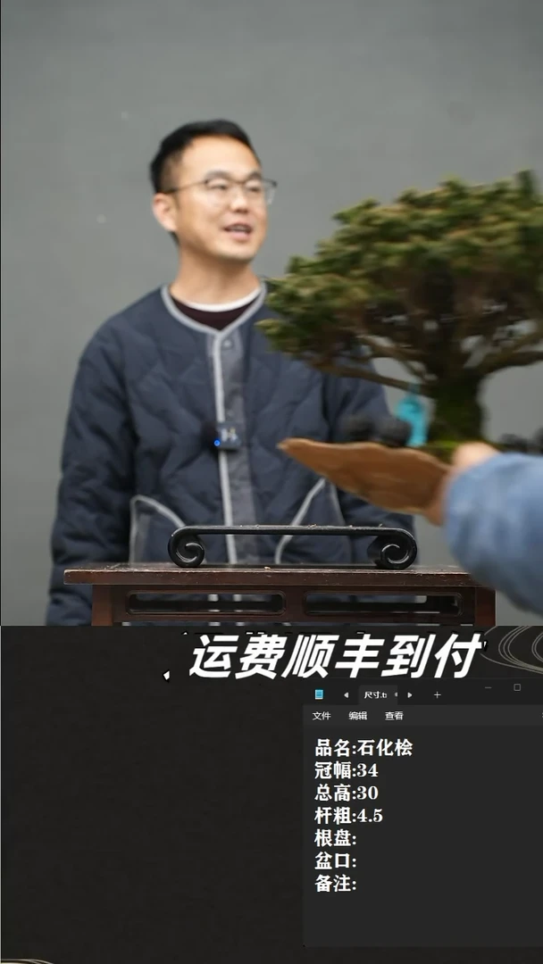 【闪购商品】0013石化桧