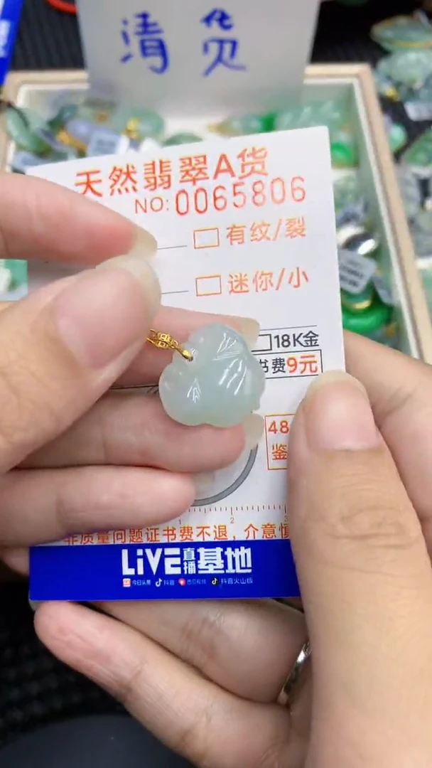【闪购商品】翡翠颈饰18K金镶嵌            8