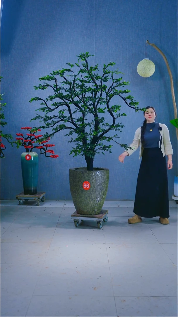 无花朵黔****部66号盆链接