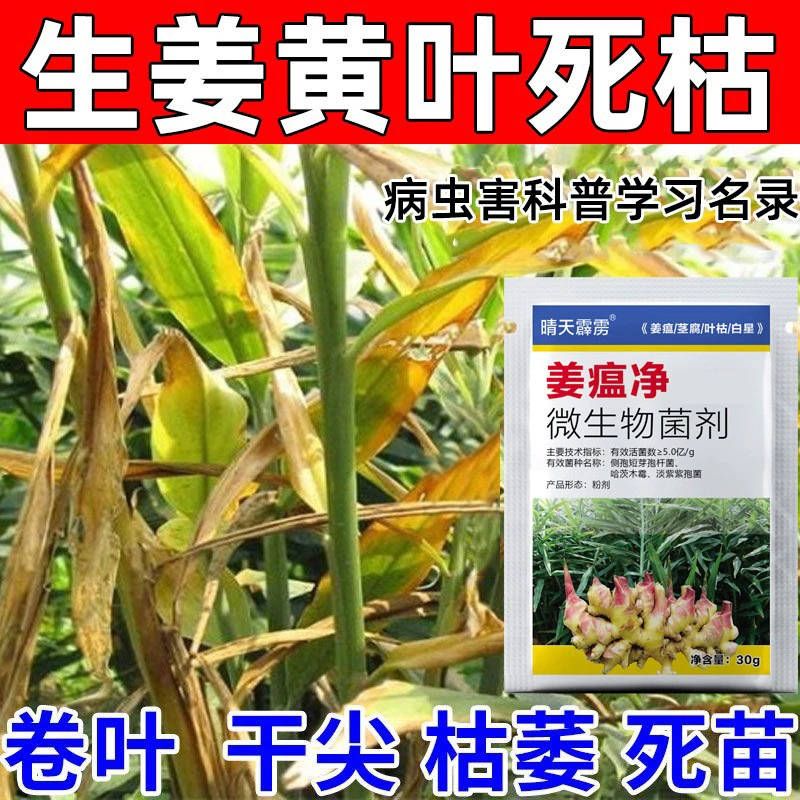 姜瘟净姜瘟农用药姜瘟净生姜杀菌大姜烂脖子根腐病可用微生物菌剂