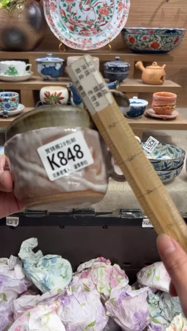 瓷片最**虫       K848