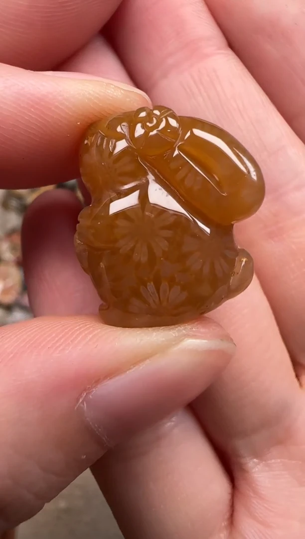 硅化珊瑚（珊瑚玉）未镶嵌颈饰568