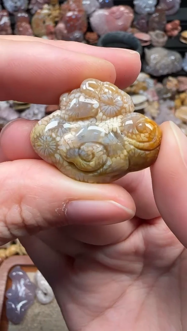 颈饰未镶嵌硅化珊瑚（珊瑚玉）579