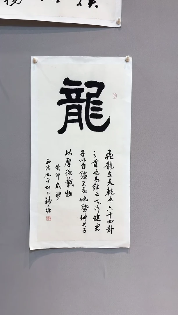 书法沈金加老师书法作品