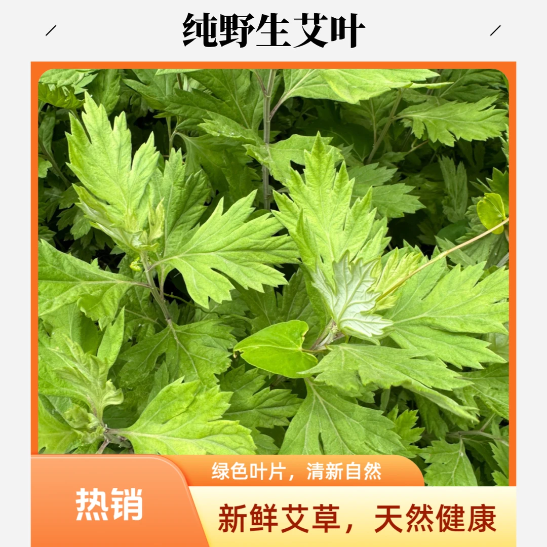 十根纯野生新鲜整颗艾叶艾草家用端午草泡脚洗头熏虫必配150g绿色蔬菜