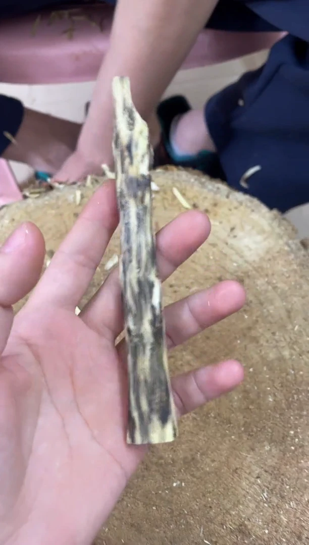 【闪购商品】沉香木沉香碎屑棋楠沉香 原料文创1