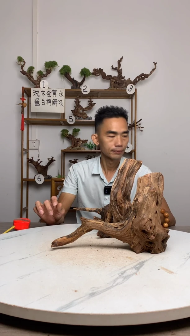 立*鱼缸造景沉木摆件