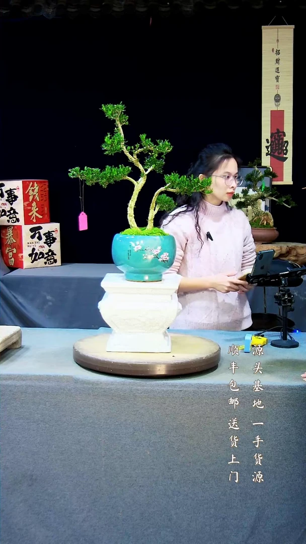 【闪购商品】黄杨盆景黄杨盆景