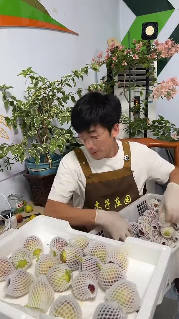金傲芬12枚芭劳奈12枚双拼无花果共24枚
