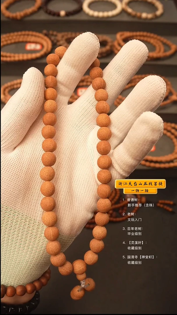 吊坠五线菩提y手持