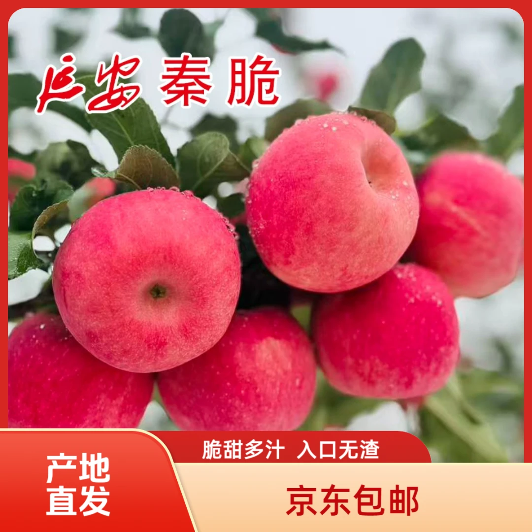 圣祥果业 延安秦脆苹果 脆甜多汁新鲜当季 【4颗装】【产地直发】