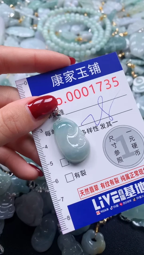 颈饰未镶嵌翡翠1735