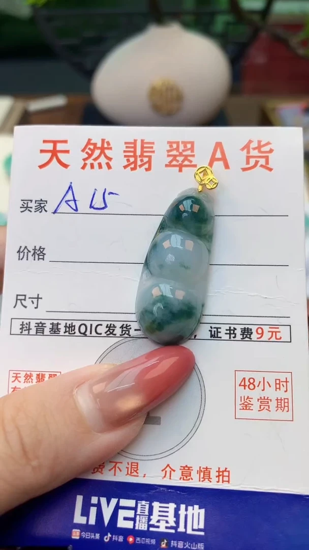 颈饰未镶嵌翡翠天然A货翡翠挂件