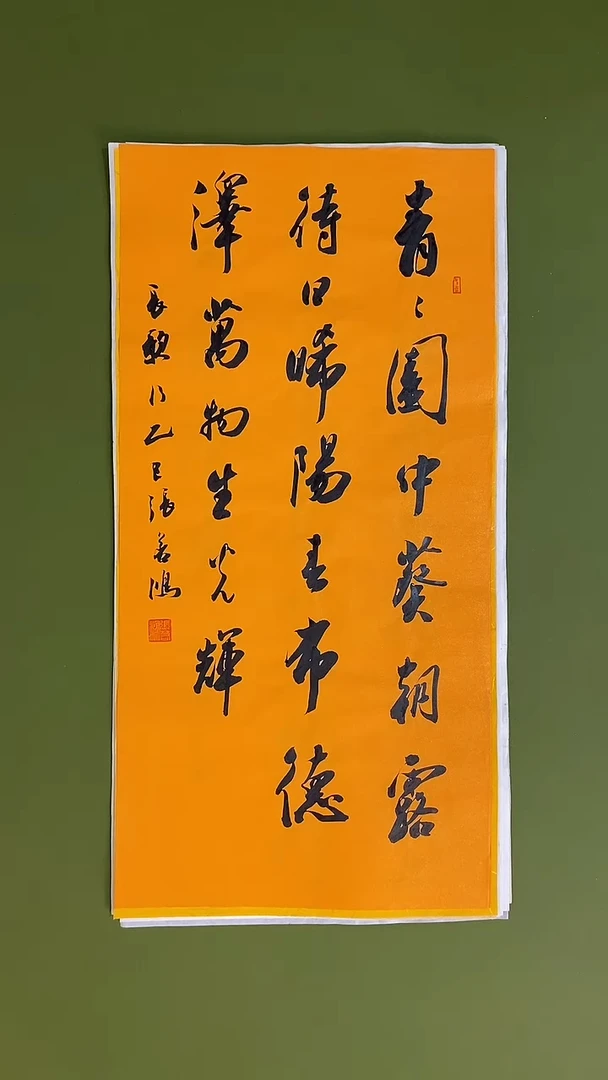 书法书法 张若鸿 尺寸69cm*34cm