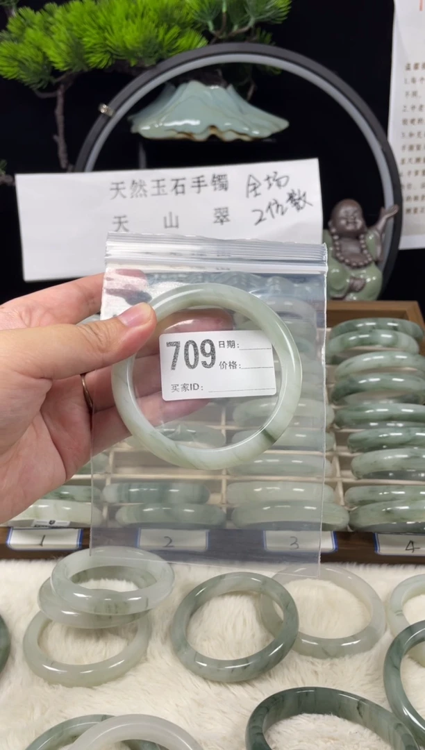 未镶嵌手镯石英质玉（天山翠）709