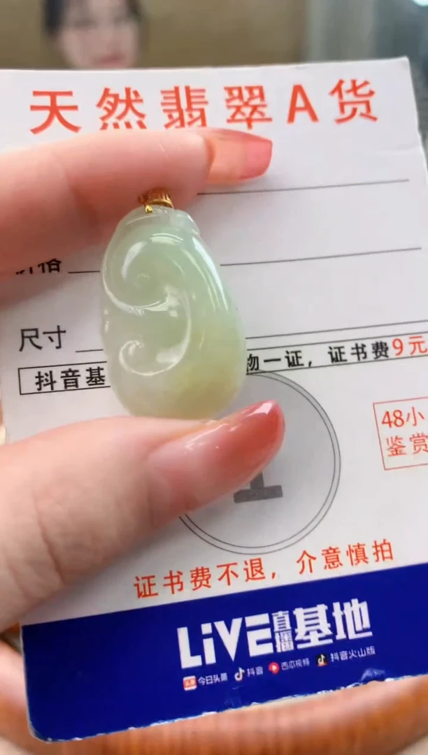 颈饰未镶嵌翡翠天然A货翡翠挂件