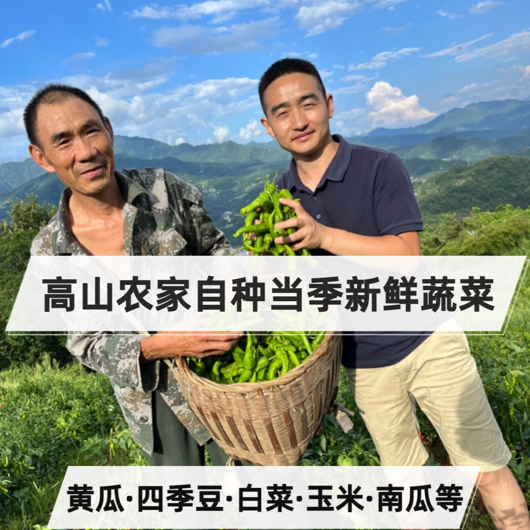 （助农蔬菜）陕西岚皋高山农家自种蔬菜各种当季蔬菜新鲜现摘现发