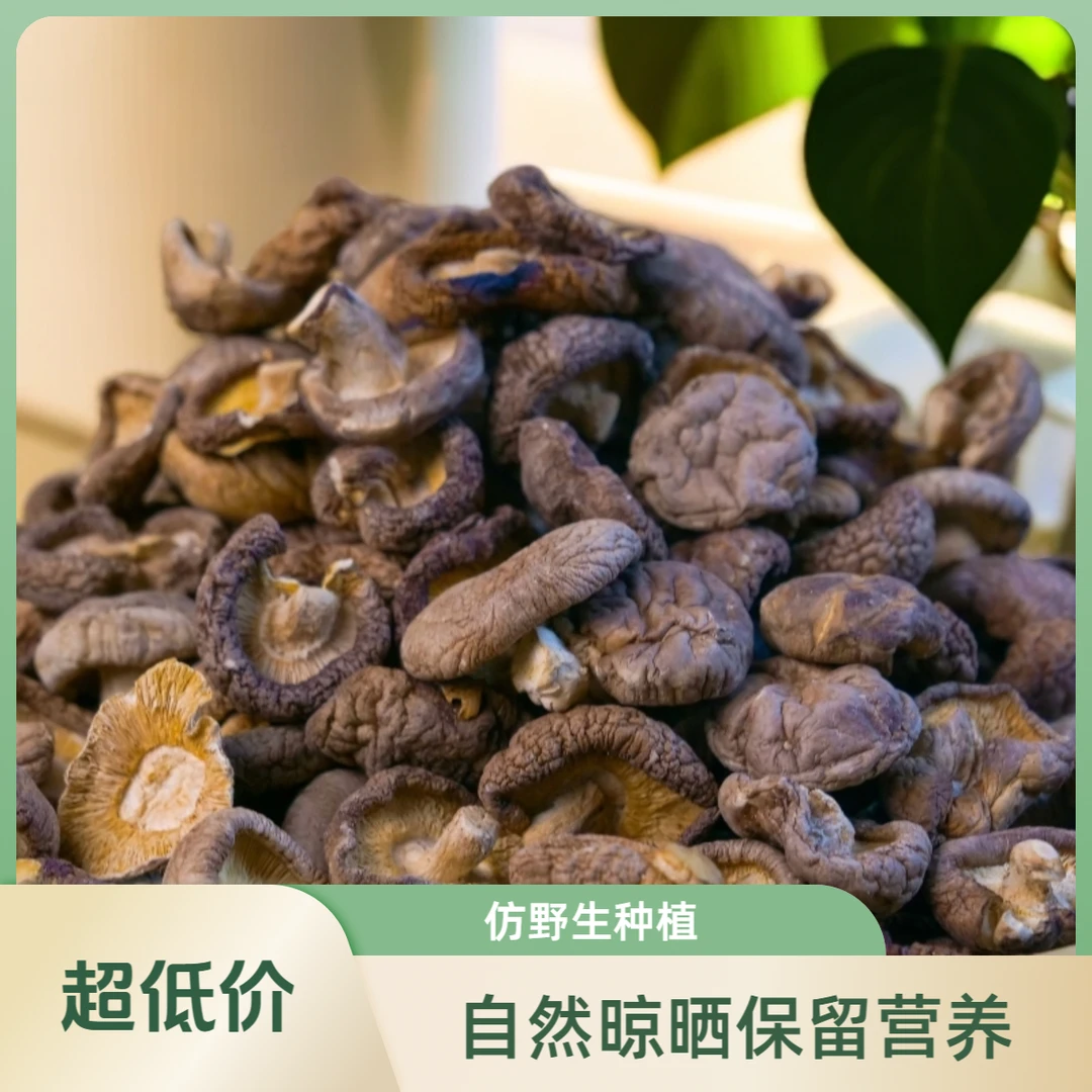 全桑枝香菇，仿野生种植，自然晾晒，原生态，绿色健康，鲜香味美