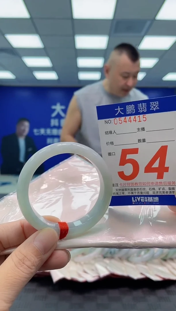 未镶嵌手镯翡翠AAAAAAAAAA